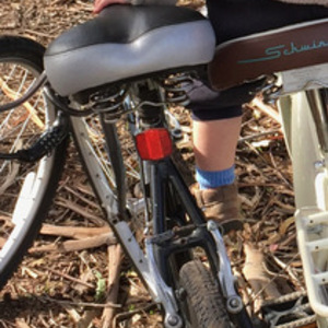 Fuji Crosstown Black