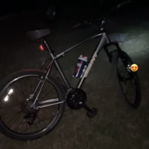 2011 Giant Revel 2 (Silver/ Black) Silver, gray or bare metal