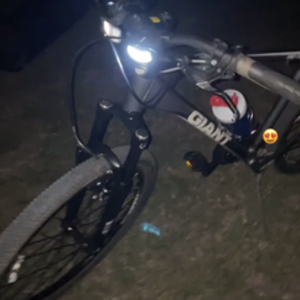 2011 Giant Revel 2 (Silver/ Black) Silver, gray or bare metal