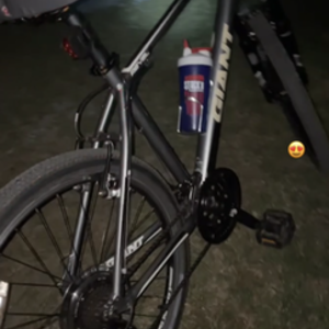 2011 Giant Revel 2 (Silver/ Black) Silver, gray or bare metal