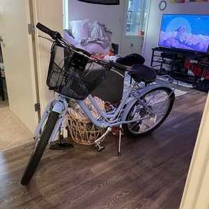 2022 Schwinn RIVERWALK Blue