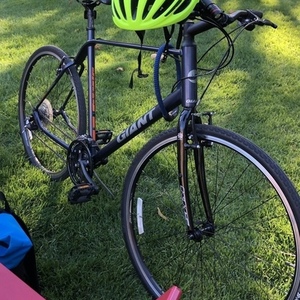 2016 Giant Escape Blue