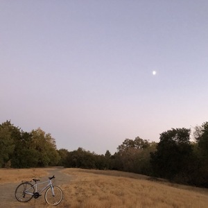 2018 Liv Alight 2 Blue