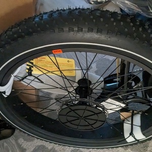 2022 Rad Power Bikes Silver, gray or bare metal