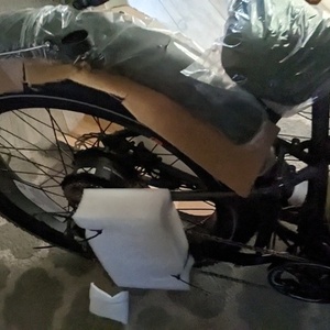 2022 Rad Power Bikes Silver, gray or bare metal