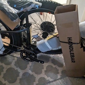 2022 Rad Power Bikes Silver, gray or bare metal