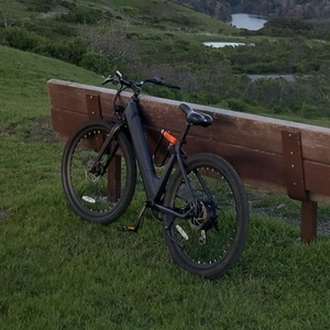 2022 Ride1Up Step through Silver, gray or bare metal