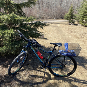 Giant Blue, Teal, and Green