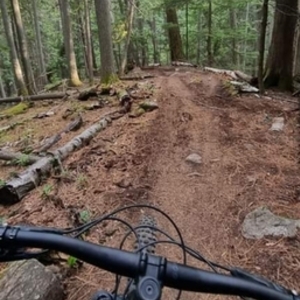 2022 Trek Slash 8 Black