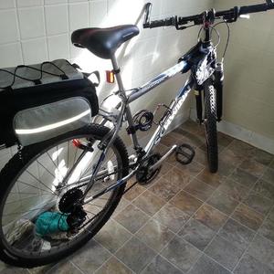 Schwinn ranger Silver or Gray