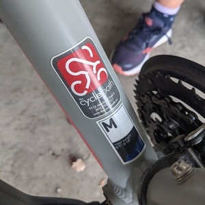 2018 Giant M Silver, gray or bare metal