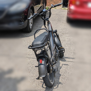 Rad Power Bikes RadRunner 3 Plus Silver, gray or bare metal