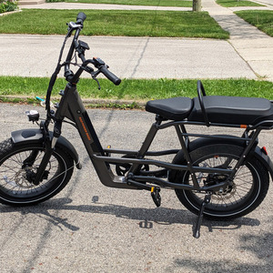 Rad Power Bikes RadRunner 3 Plus Silver, gray or bare metal