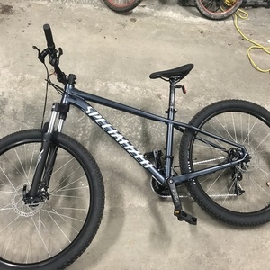 2022 Specialized Blue