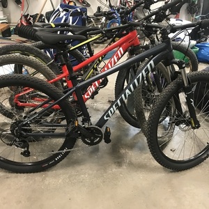 2022 Specialized Blue