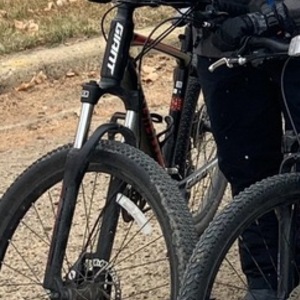 2020 Giant Mountain bike Black