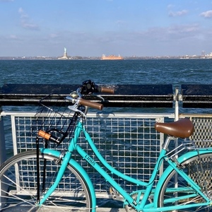 2015 Linus Dutchi3 Blue