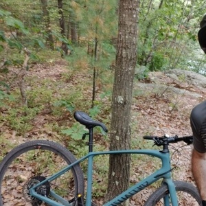 2019 Specialized Sirrus X comp carbon Green