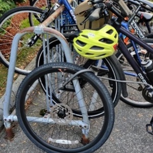 2019 Specialized Sirrus X comp carbon Green