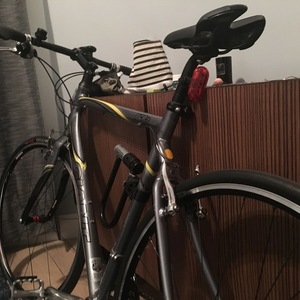 Giant FCR 2 Silver or Gray