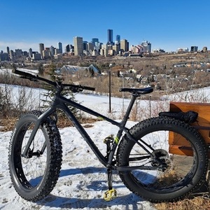 2020 Trek Farley 5 Silver, gray or bare metal