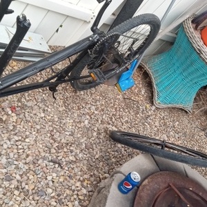 GT Bicycles CM18L556999 - Mountain Bike: (Avalanc... Black, Silver, gray or bare metal, and Blue