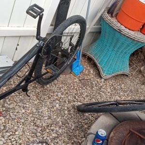 GT Bicycles CM18L556999 - Mountain Bike: (Avalanc... Black, Silver, gray or bare metal, and Blue