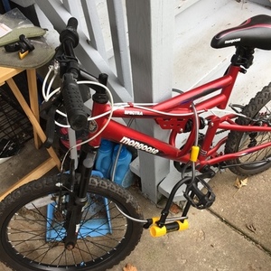 Mongoose unknown Red