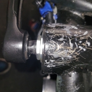 2016 HangTen Bikes Beach cruiser 7-Speed Black, Yellow or Gold, and Silver, gray or bare metal