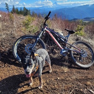 2014 Nukeproof mega am comp Silver, gray or bare metal and Red