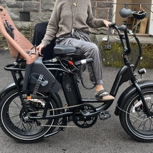 2022 Rad Power Bikes Black