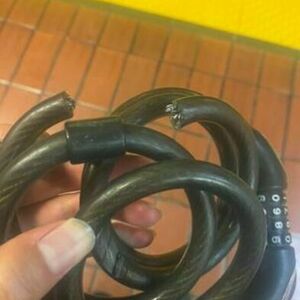 2021 REI CTY 1.1 Blue