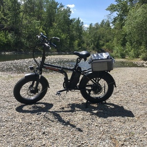 2020 Rad Power Bikes Black