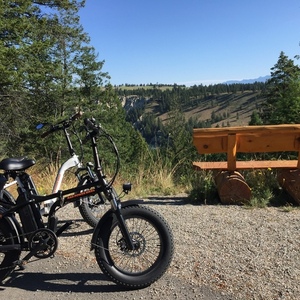 2020 Rad Power Bikes Black