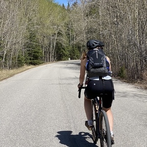 2019 Kona Kona 6061 Aluminum Butted Silver, gray or bare metal and Yellow or Gold