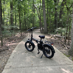 2019 Rad Power Bikes Rad Mini (Folding) Black