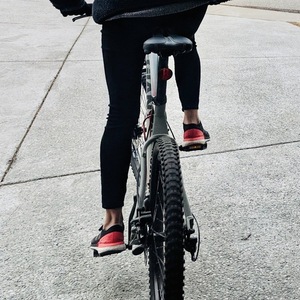 2018 Giant M Silver, gray or bare metal