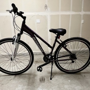 Schwinn GTX3 Purple, White, and Black