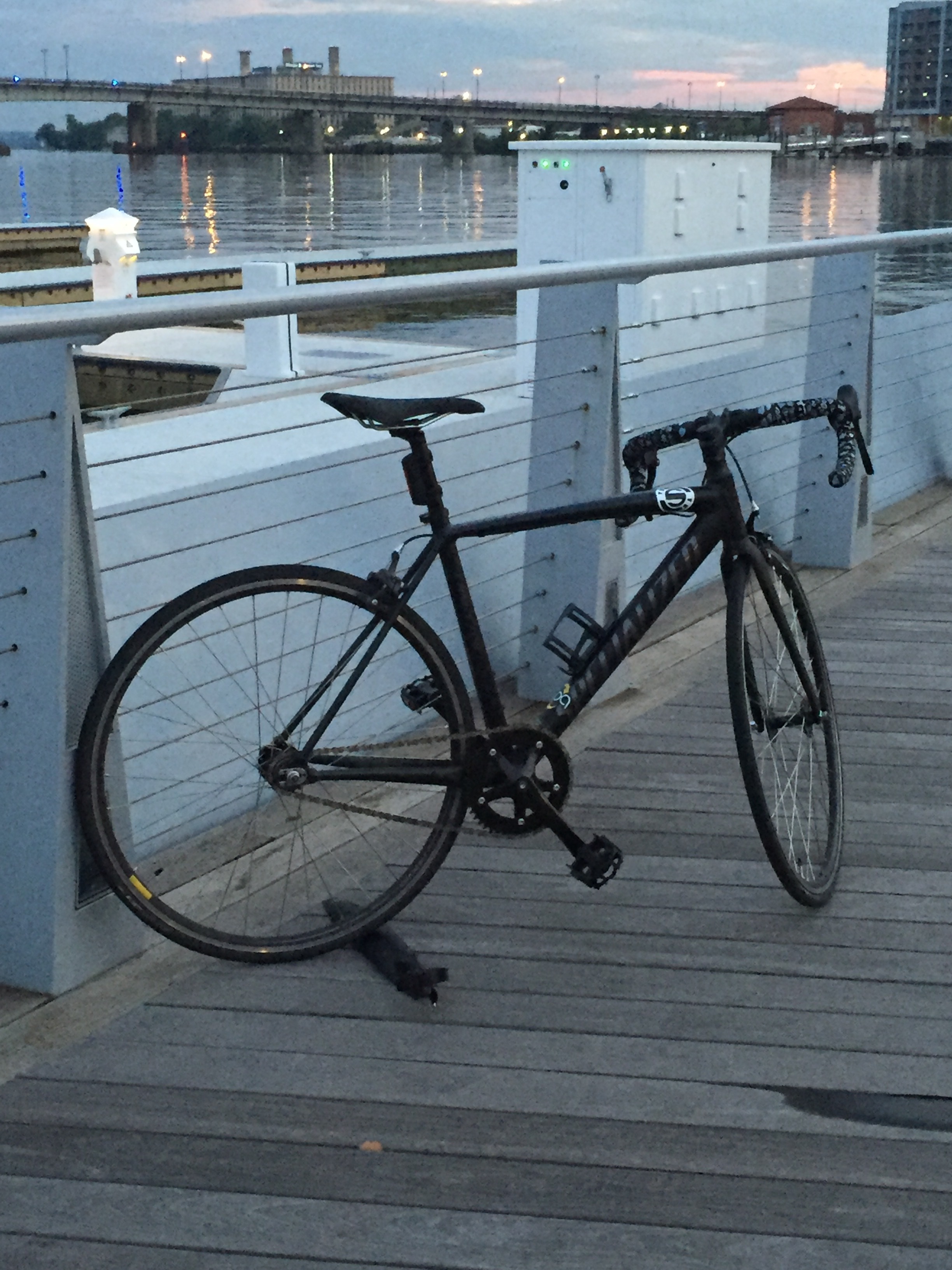 specialised langster