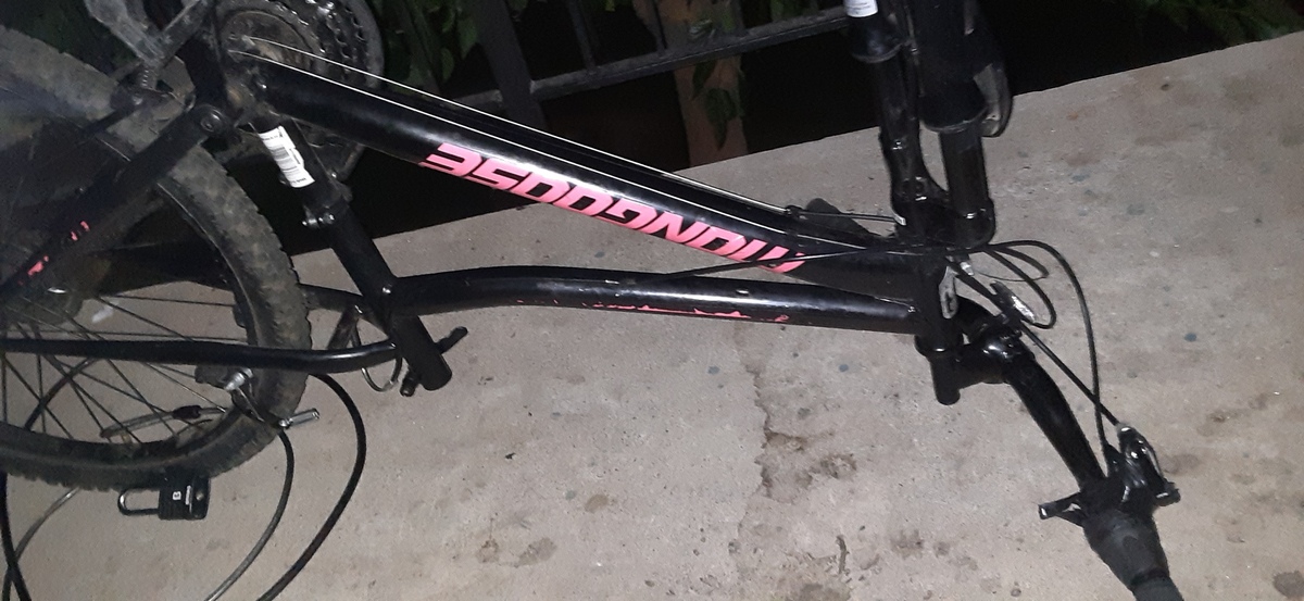 mongoose bike index 2.0