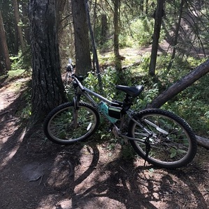 2009 Norco Bikes Mountaineer Silver, gray or bare metal