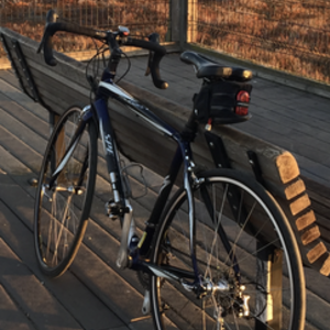 2008 Specialized Roubaix Compact Blue and White