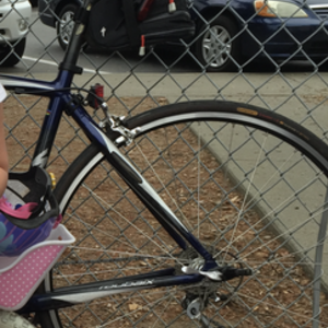 2008 Specialized Roubaix Compact Blue and White