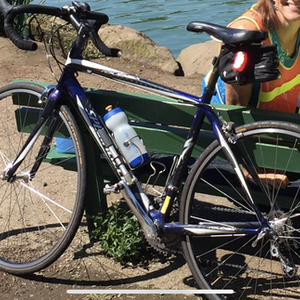 2008 Specialized Roubaix Compact Blue and White
