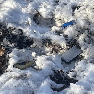 2023 Fuji Fuji Green