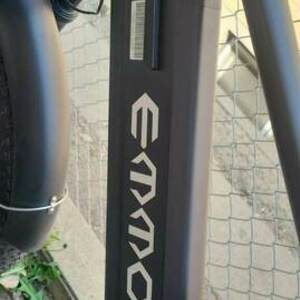 2023 G wild Full suspension all terrain e bike Black