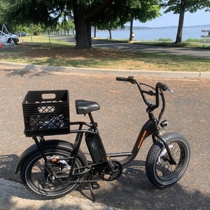 2021 Rad Power Bikes RadRunner 2 Black