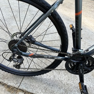 2014 Giant Roam 2 Silver, gray or bare metal and Orange