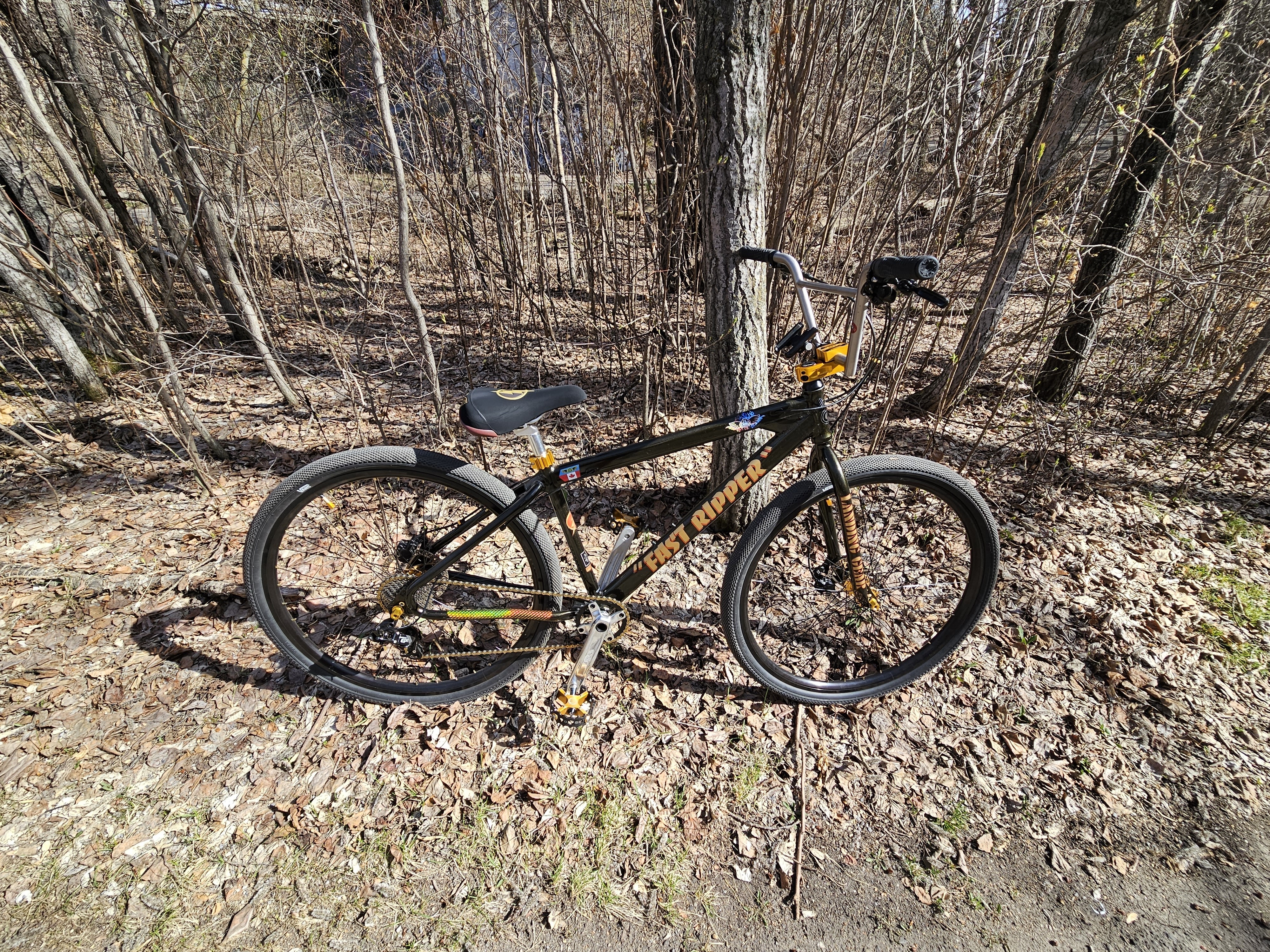 2021 SE Bikes Fast Ripper