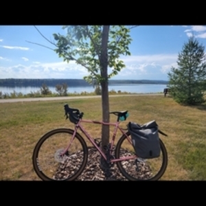 2021 All City Space Horse Pink